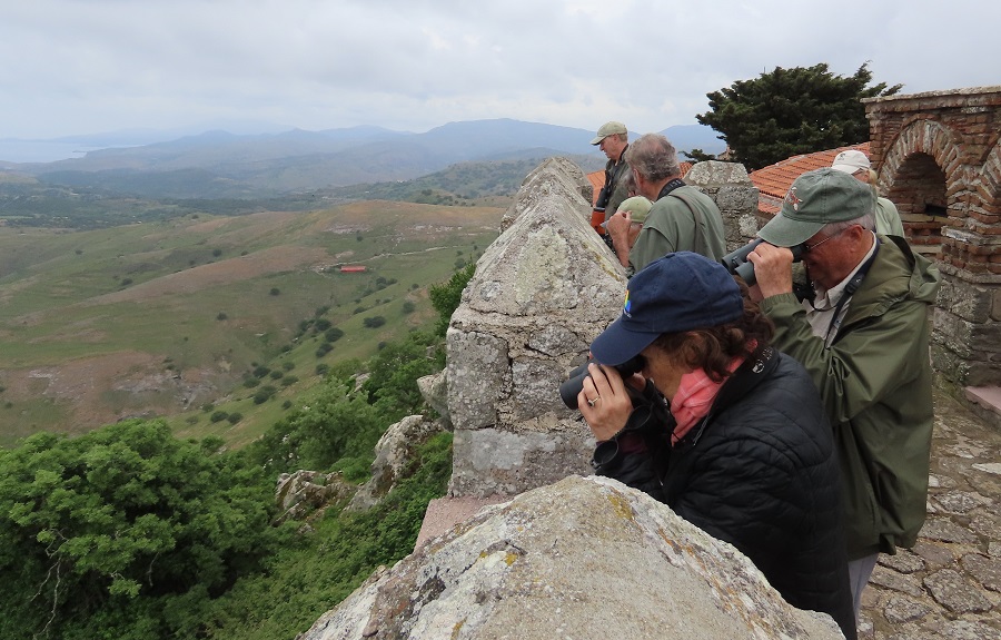 Birding from the top of Ipsilou Monastery. Photo © Gina Nichol.