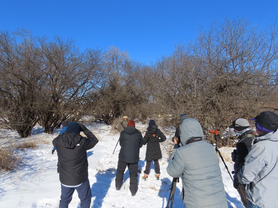 Birding Palmer Lake Basin, Minnesota. Photo © Gina Nichol 