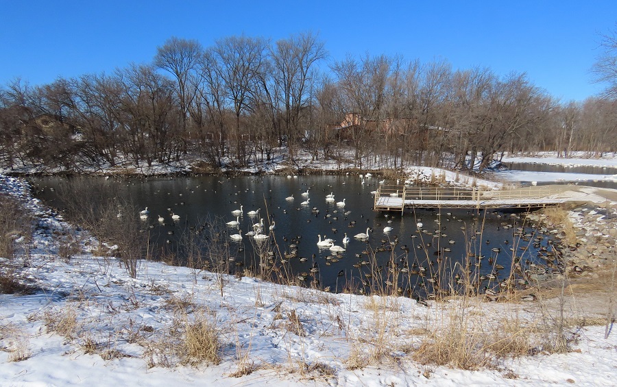 Skakopee Memorial Park, Minnesota. Photo © Gina Nichol 