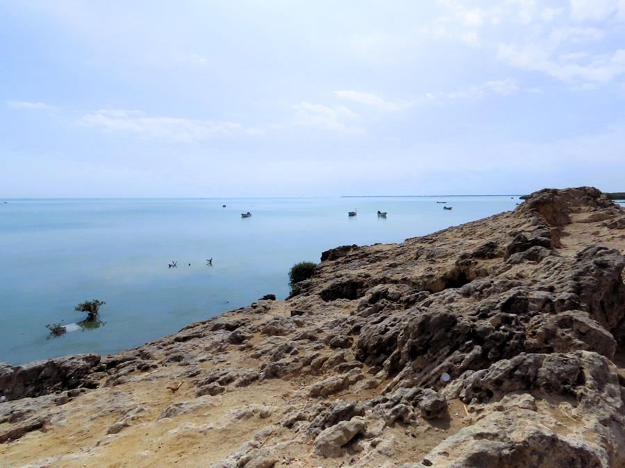 Shoreline at Barr al-Hikmān, Oman. Photo © Gina Nichol 