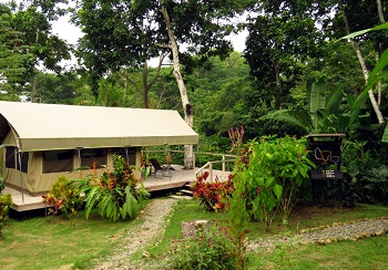 Canopy Camp